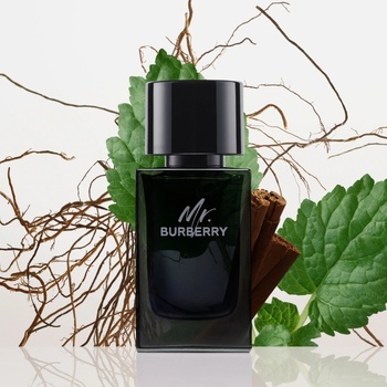 Mr. Burberry Eau de Parfum EDP